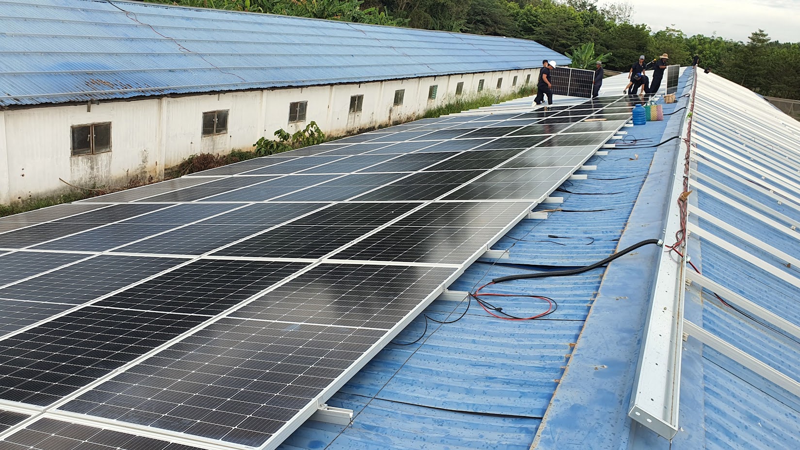 Dự án sử dụng 2.248 tấm pin năng lượng mặt trời ANTARIS GERMANY - MONO 445Wp hiệu suất cao