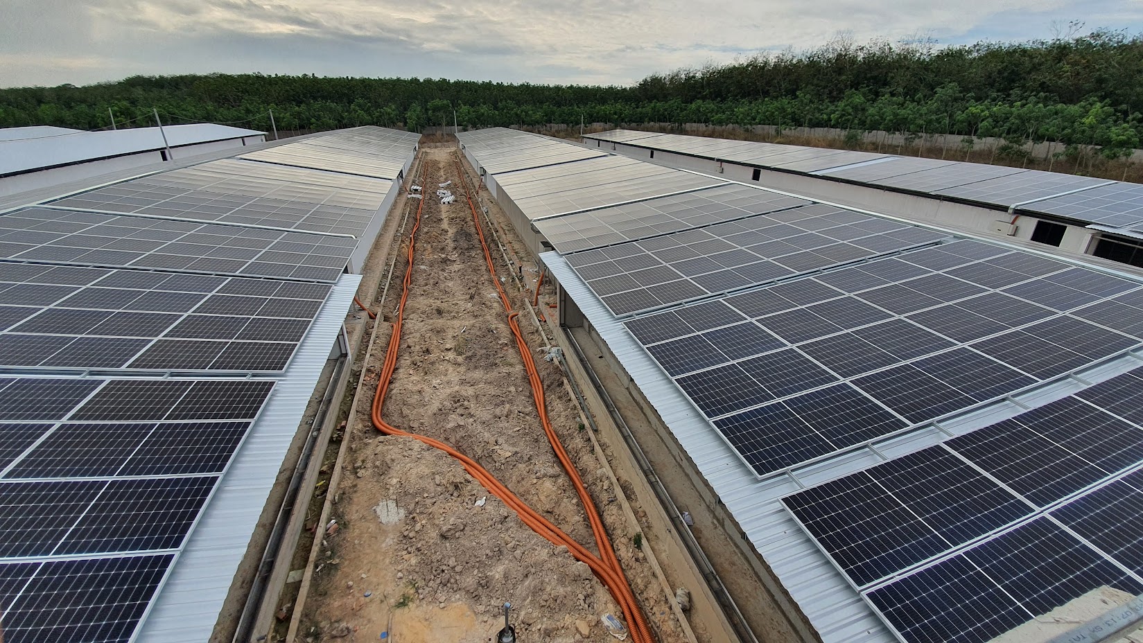 Trang trại chăn nuôi gia cầm ở bên dưới, bên trên mái sẽ lắp đặt các tấm pin năng lượng mặt trời. Mô hình sinh lợi kép đã được triển khai ở nhiều quốc gia trên thế giới và ngày càng phát triển tại Việt Nam